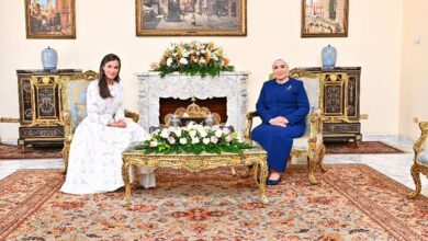 انتصار السيسي