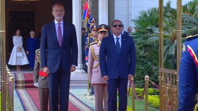 الرئيس السيسي