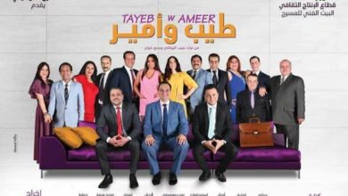 العرض المسرحي