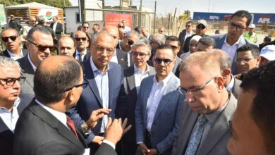 وزير الاستثمار