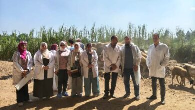 وزير الزراعة