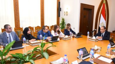 وزير الخارجية