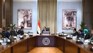 المشروعات