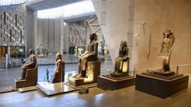 التنظيم والإدارة