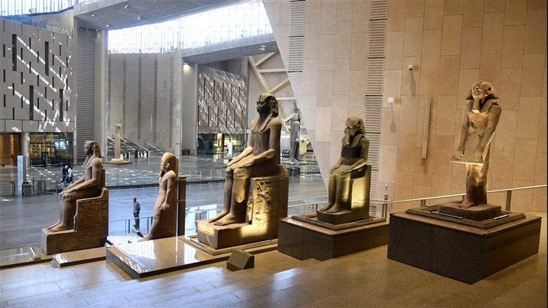 التنظيم والإدارة