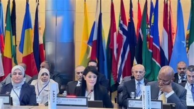 وزيرة التخطيط