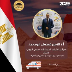 هجوم الناخبين بالدائرة الخامسه عبر فيديو مرشح حماة الوطن وظهور رمز "الصقر "بغرب الإسكندرية