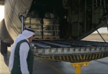 مطار العريش