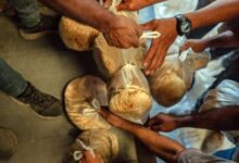 الأمم المتحدة