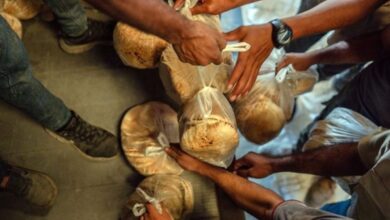 الأمم المتحدة