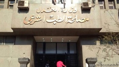 نقابة المحامين