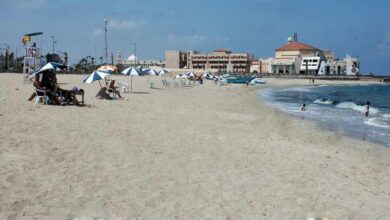 الإسكندرية