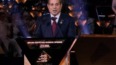 الرئيس السيسي