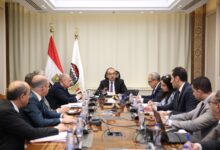 وزير قطاع الأعمال