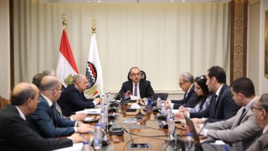 وزير قطاع الأعمال