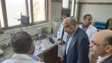 وزير الكهرباء