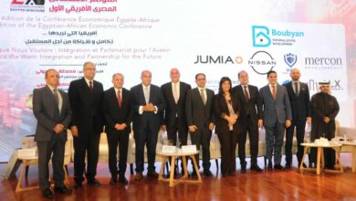 تنمية المشروعات