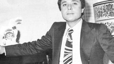 محمود عبد العزيز