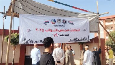 الانتخابات