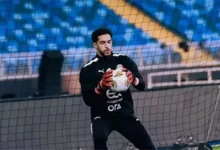 مصطفى شوبير