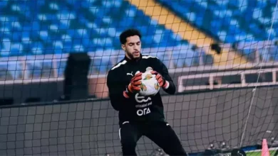 مصطفى شوبير