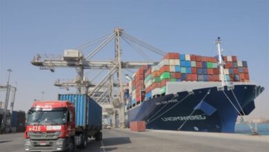 الصادرات المصرية