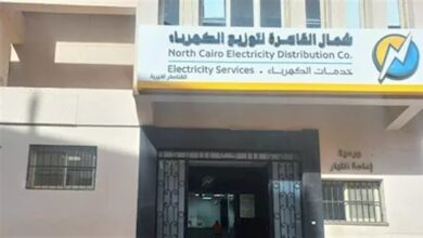 شمال القاهرة للكهرباء