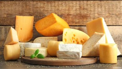 الجبن المعالج