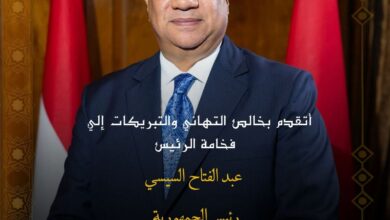 مصيلحي: مصر دولة الحضارة والتاريخ فنحن من علم العالم أجمع 