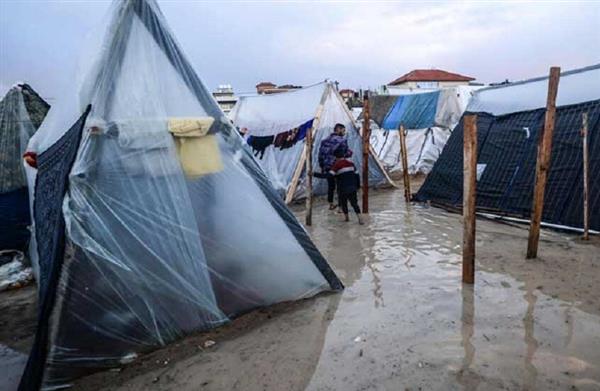 الصحة الفلسطينية