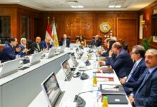 التنمية المحلية