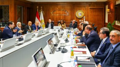 التنمية المحلية