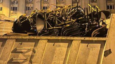 التنمية المحلية