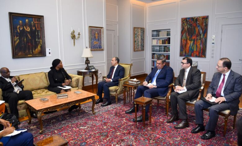 وزير الخارجية