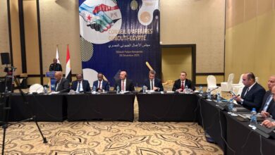 كامل الوزير