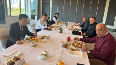 وزير الكهرباء