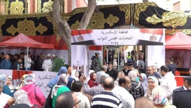 الادارية العليا