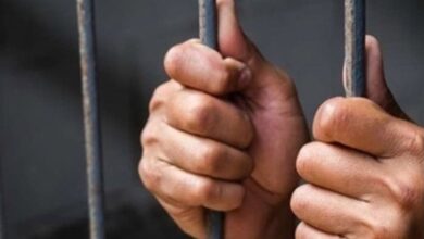 الانتخابات