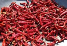 تصلب الشرايين