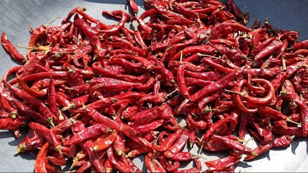 تصلب الشرايين