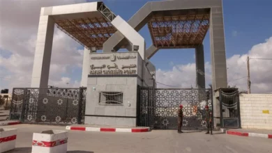 رفح