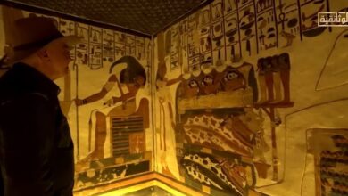 كنائس المحروسة