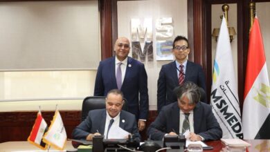 تنمية المشروعات