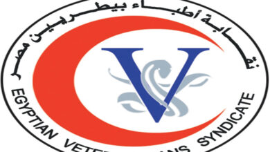 نقابة البيطريين