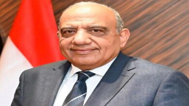 وزير الكهرباء