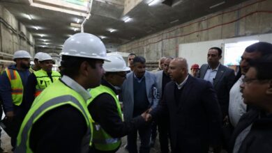 الوزير