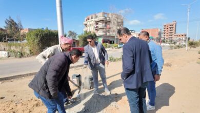 محافظ كفرالشيخ