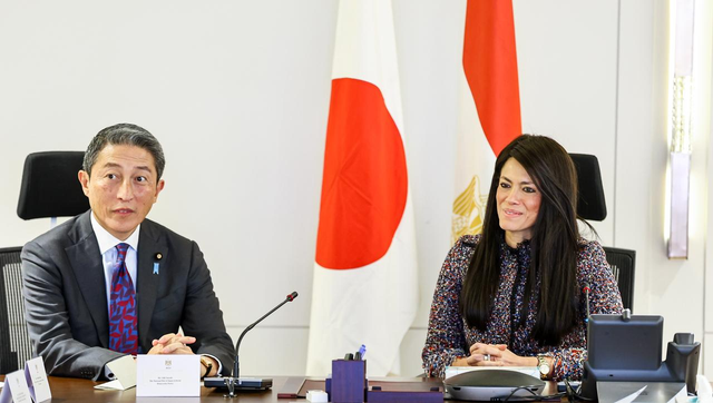 وزيرة التخطيط