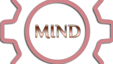 المستثمرين