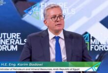 وزير البترول